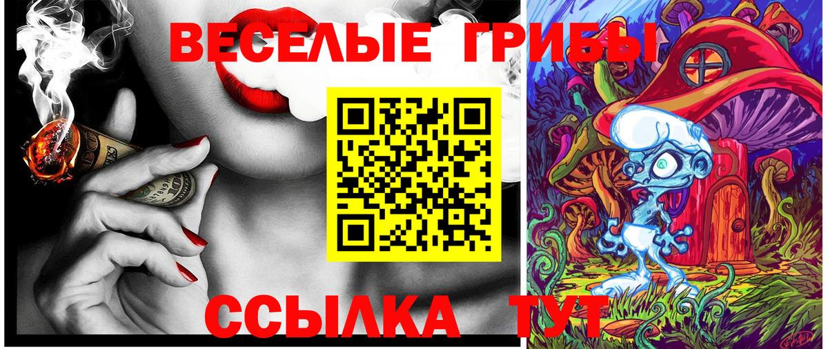 купить наркоту  Галлюциногенные грибы Magic Shrooms  Вход с VPN  Котельники 